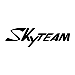 SkyTEAM