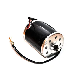 Motor 1000W 48V