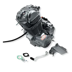 Kompletní motor pro Čtyřkolku 250ccm (166FMM)