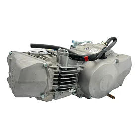 Daytona Anima 190FDX motor