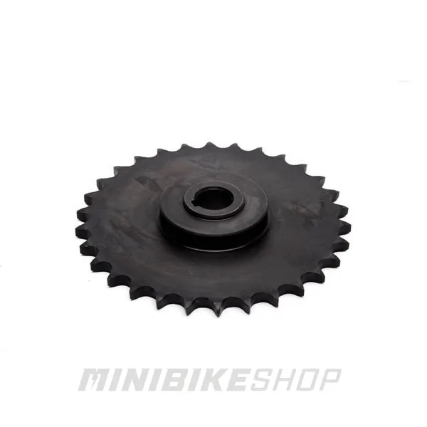 Ozubené koleso motora pre Buggy Shark 156ccm