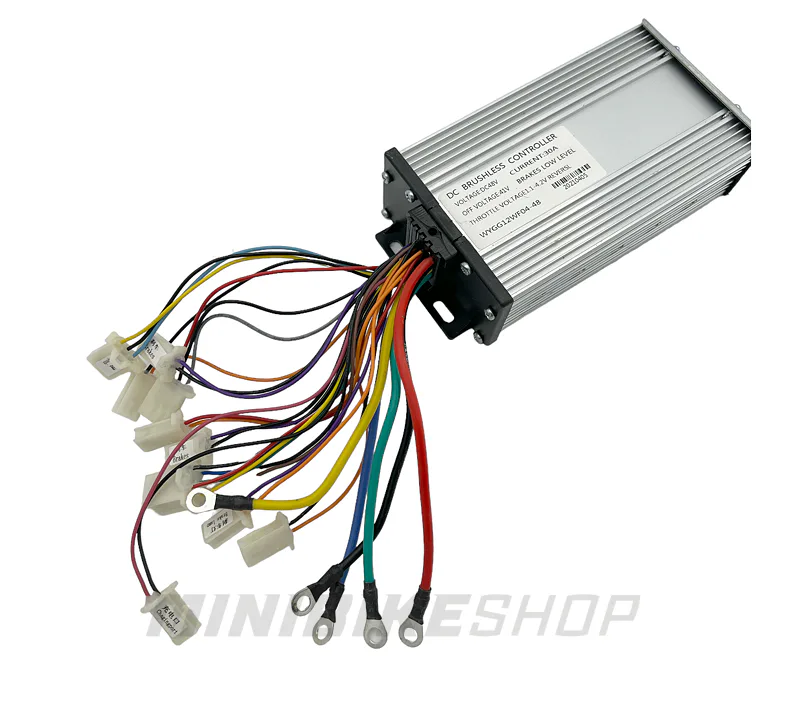 Riadiaca jednotka pre Renegade 1200W 48V