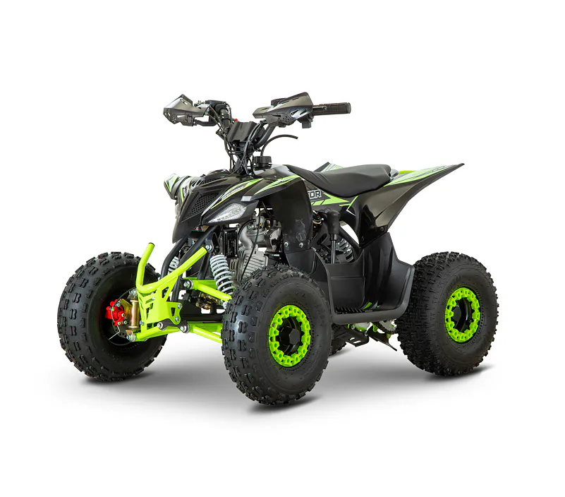 Dětská čtyřkolka MiniRaptor 110cc, černá