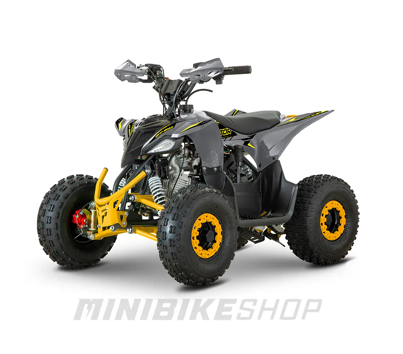 Detská štvorkolka MiniRaptor 110cc, sivá