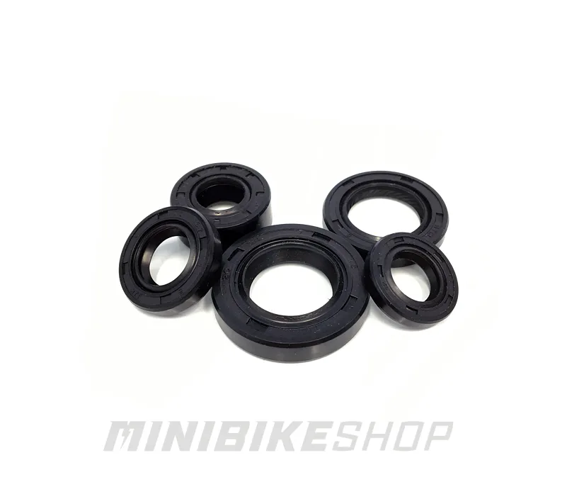 Sada gufier pre motory Lifan 125 a YX125