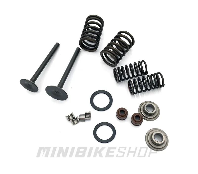 Súprava ventilov pre motor SKY/RAM 125cc