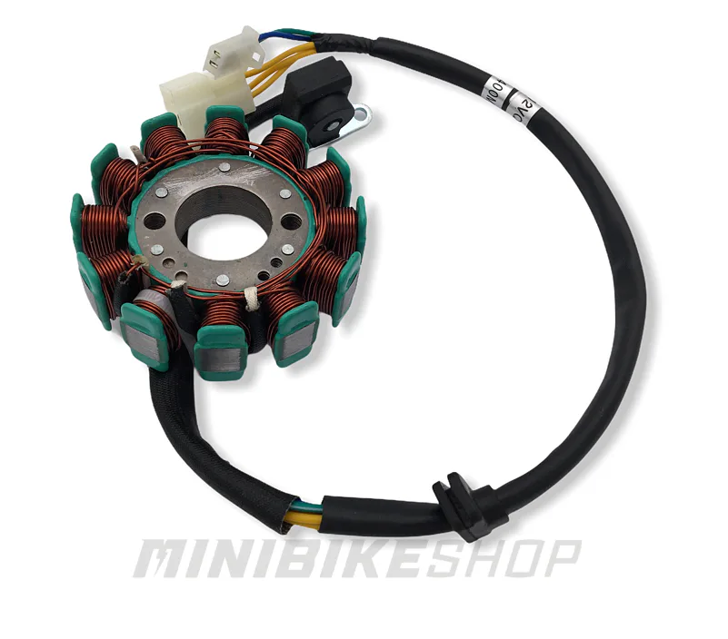 Stator pre motory SKYTEAM 125cc