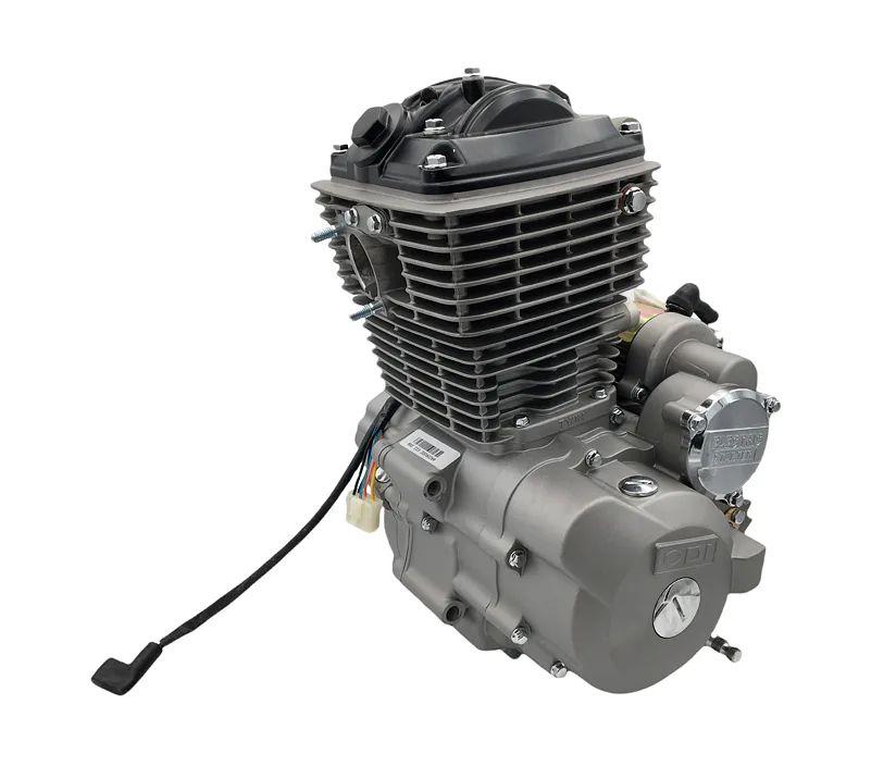 Kompletní motor pro Pitbike 250ccm (TY223)