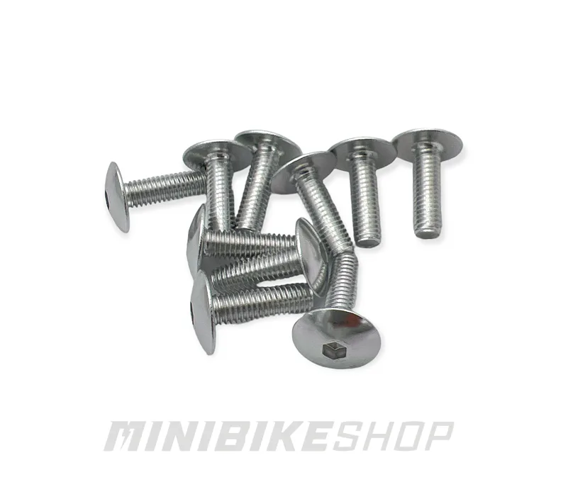 Súprava ALU skrutiek M6X20 mm, strieborná (10 ks)