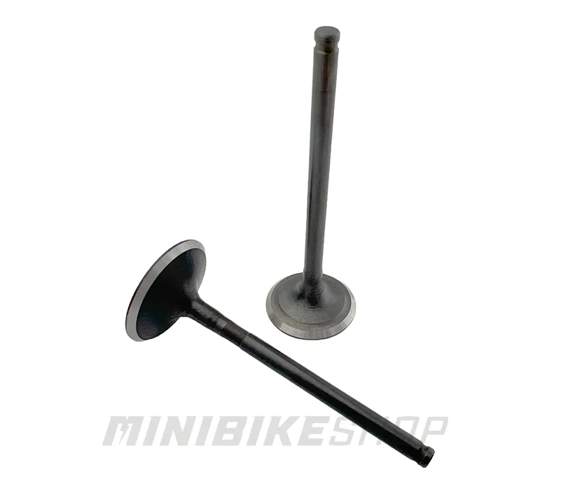 Sada ventilov pre motor Zongshen 190