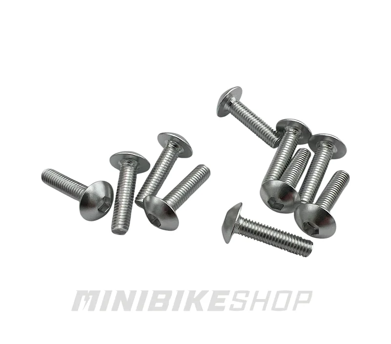 Sada ALU skrutiek M5X20mm, strieborná (10 ks)