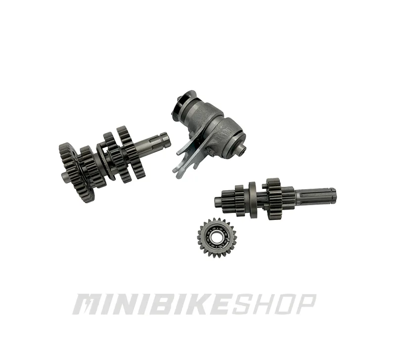 Prevodovka pre ATV 110cc 3+1 (ozubenie + radiace vidličky)