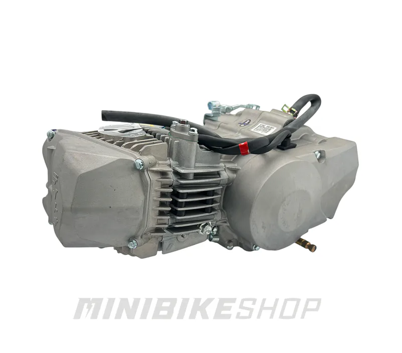 Motor Daytona Anima 190FDX
