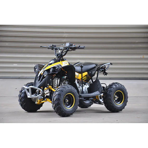 Dětská čtyřkolka MiniRocket Renegade 125ccm