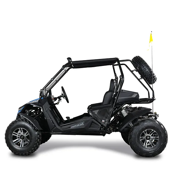 Buggy MiniRocket Cheetah 200X