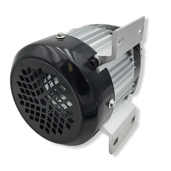 Bezuhlíkový elektromotor 1000W36V (väčšie stroje)