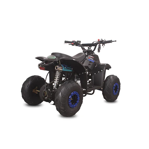 Čtyřkolka MiniRocket Buffalo 110ccm, 6"kola
