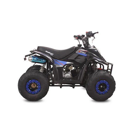 Čtyřkolka MiniRocket Buffalo 110ccm, 6"kola
