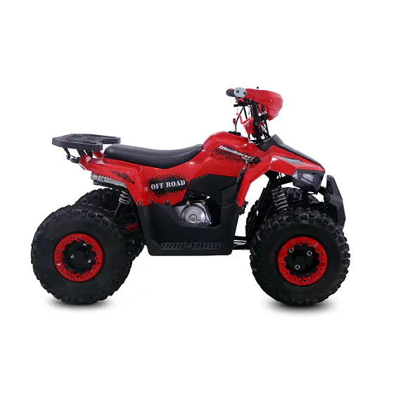 Štvorkolka MiniRocket MudHawk 110