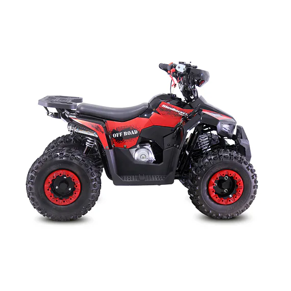Štvorkolka MiniRocket MudHawk 110
