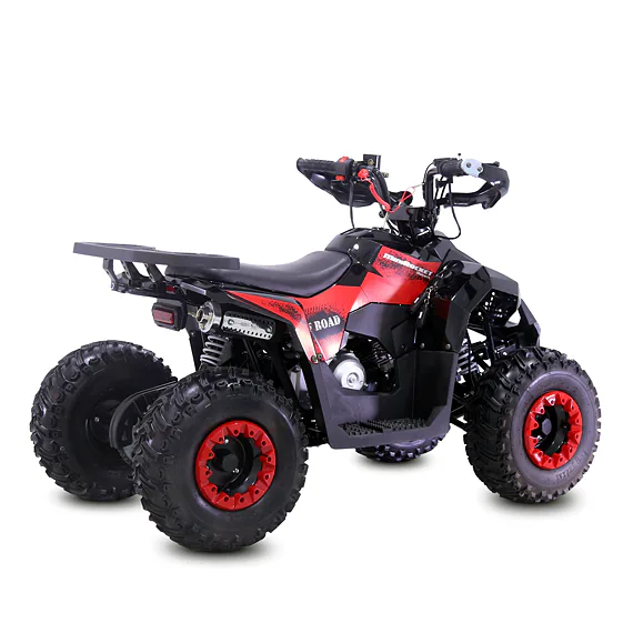 Štvorkolka MiniRocket MudHawk 110