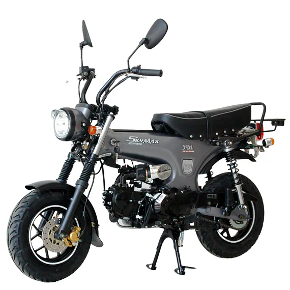 SkyTEAM SKYMAX 125cc matná sivá