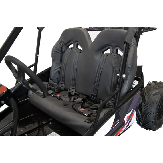 MiniRocket ECOBuggy 1000W 20Ah červená