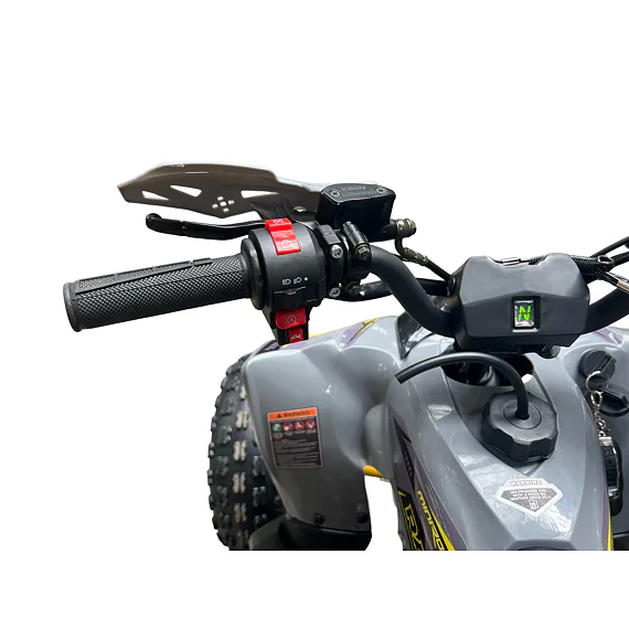 Dětská čtyřkolka MiniRaptor 110cc, černá