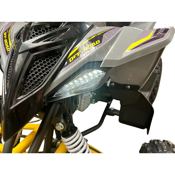 Dětská čtyřkolka MiniRaptor 110cc, šedá