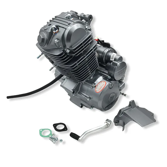 Kompletný motor pre štvorkolku 250ccm (166FMM)