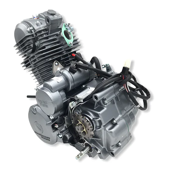 Kompletní motor pro Čtyřkolku 250ccm (166FMM)
