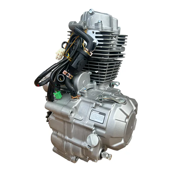 Motor pre pitbike Zongshen ZS169FMM 250 ccm, elektrický štartér