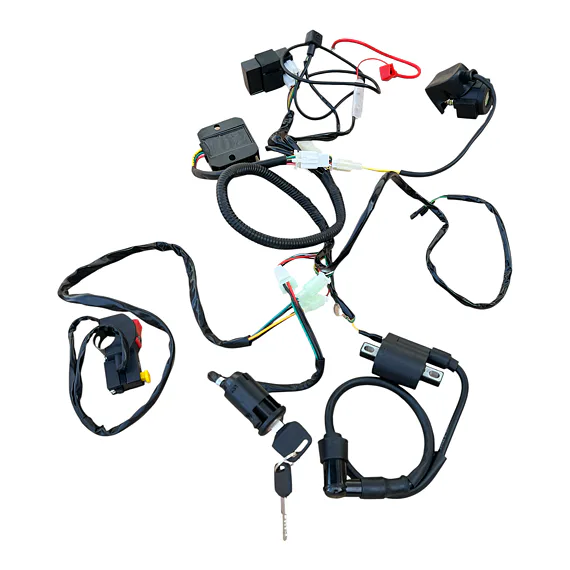 Kompletní elektrika pro Pitbike 250cc, UNI