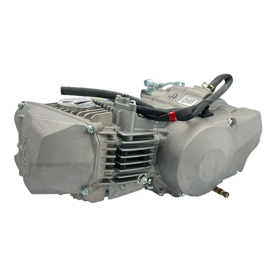 Daytona Anima 190FDX motor