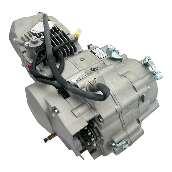 Daytona Anima 190FDX motor