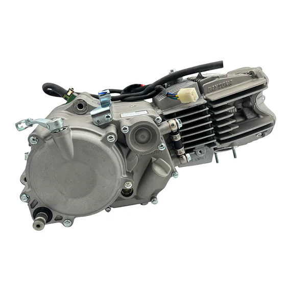 Daytona Anima 190FDX motor